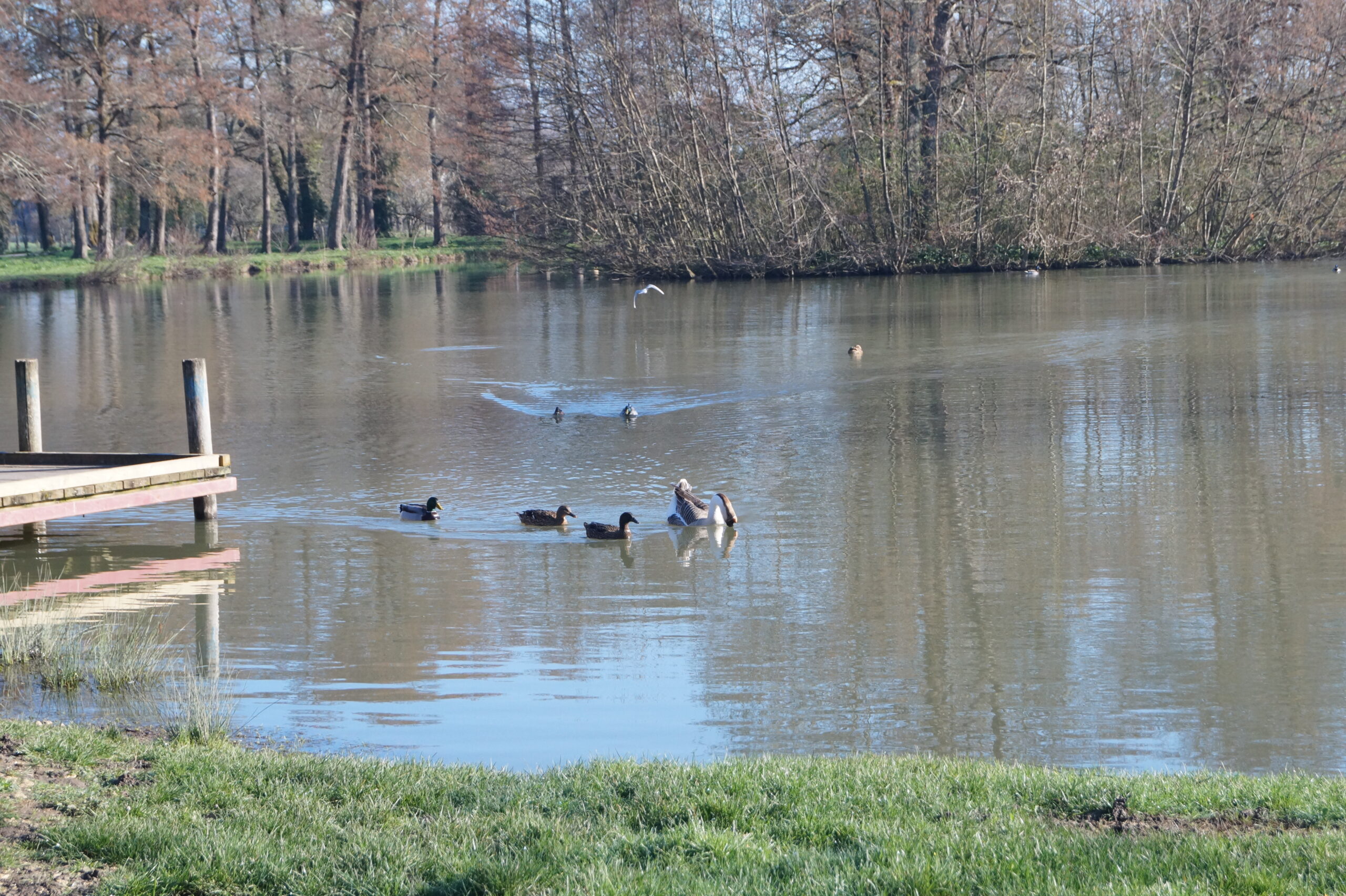 https://www.untoitetvous-bordeaux.fr/wp-content/uploads/2024/06/2020_paysages_02_lac-2-scaled-1.jpg